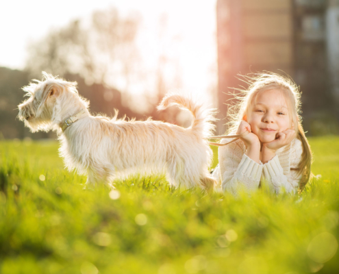 Tierversicherung: Ein kleines Mädchen liegt mit dem Bauch auf der Wiese und ihr Hund ist bei Ihr. Mit der Tierversicherung ist ihr Tier bestens versorgt.